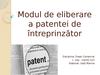 Modul de eliberare a patentei de întreprinzător