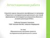 Аттестационная работа. Образовательная программа проектноисследовательской деятельности в школе