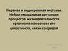Нервная и эндокринная системы. Нейрогуморальная регуляция процессов жизнедеятельности организма как основа его целостности