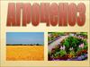 Агроценоз. Экосистемы