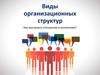 Виды организационных структур. Как выстроить отношения в коллективе