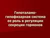 Гипоталамо-гипофизарная система ее роль в регуляции секреции гормонов