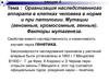 Лекция 4. Организация наследственного аппарата в клетках человека в норме и при патологии