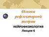 Нейрофизиология. Рефлекторная теория. (Лекция 6)