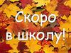 Скоро в школу. Анатомо-физиологические особенности детей предшкольного возраста