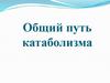Общий путь катаболизма. (Лекция 9)