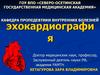 Пропедевтика. Эхокардиография (ЭХОКГ С ДКГ)