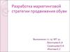 Разработка маркетинговой стратегии продвижения обуви