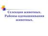 Селекция животных. Районы одомашнивания животных