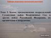 Боевое предназначение подразделений Сухопутных войск Вооруженных Сил и других войск Российской Федерации
