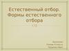 Естественный отбор. Формы естественного отбора