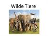 Wilde Tiere