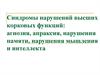 Синдромы нарушений высших корковых функций: агнозия, апраксия, нарушения памяти, нарушения мышления и интеллекта