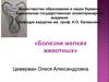 Болезни мелких животных
