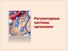 Регуляторные системы организма