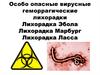 Особо опасные вирусные геморрагические лихорадки: лихорадка Эбола, лихорадка Марбург, лихорадка Ласса