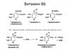 Витамин В6