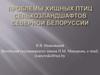 Проблемы хищных птиц сельхозландшафтов северной Белоруссии