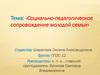 Социально-педагогическое сопровождение молодой семьи