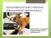 Бухгалтерский учет и баланс медицинской организации