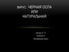 Вирус черная оспа