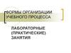 Формы организации учебного процесса. Лабораторные (практические) занятия
