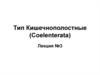 Тип Кишечнополостные (Coelenterata)
