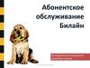 Абонентское обслуживание Билайн. Руководство для сотрудников дилерских салонов