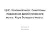 ЦНС. Головной мозг. Симптомы поражения долей головного мозга. Кора большого мозга