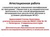 Аттестационная работа. Дополнительная образовательная программа проектно-исследовательской работы в начальной школе