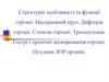 Структурні особливості та функції гортані. Несправжній круп. Дифтерія гортані. Стенози гортані. Трахеостомія. (Лекция 5)
