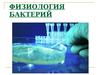 Физиология бактерий. Химический состав бактериальной клетки