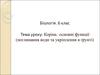 Корінь: основні функції (поглинання води та укріплення в ґрунті)