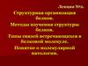 Структурная организация белков. Методы изучения структуры белков