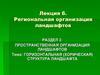 Пространственная организация ландшафтов