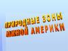 Природные зоны Южной Америки. Широтная зональность