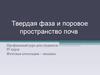 Твердая фаза и поровое пространство почв. Аппроксимация ОГХ. Уравнения ван Генухтена, Брукса и Кори