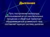 Дыхание внешнее и внутреннее