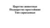 Царство животные. Подцарство простейшие. Тип саркодовые