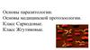 Основы паразитологии. Основы медицинской протозоологии. Класс Саркодовые. Класс Жгутиковые