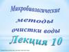 Сера как основной элемент питания микроорганизмов