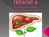 Гепатит А. Болезнь Боткина. Эпидемический гепатит