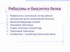 Рибосомы и биосинтез белка