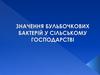 Значення бульбочкових бактерій у сільському господарстві