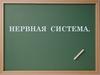 Нервная система