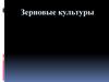 Зерновые культуры