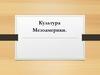 Культура Мезоамерики