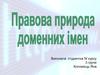 Правова природа доменних імен
