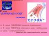 Фармакология системы крови