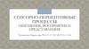 Сенсорно-перцептивные процессы. Ощущение, восприятие и представления